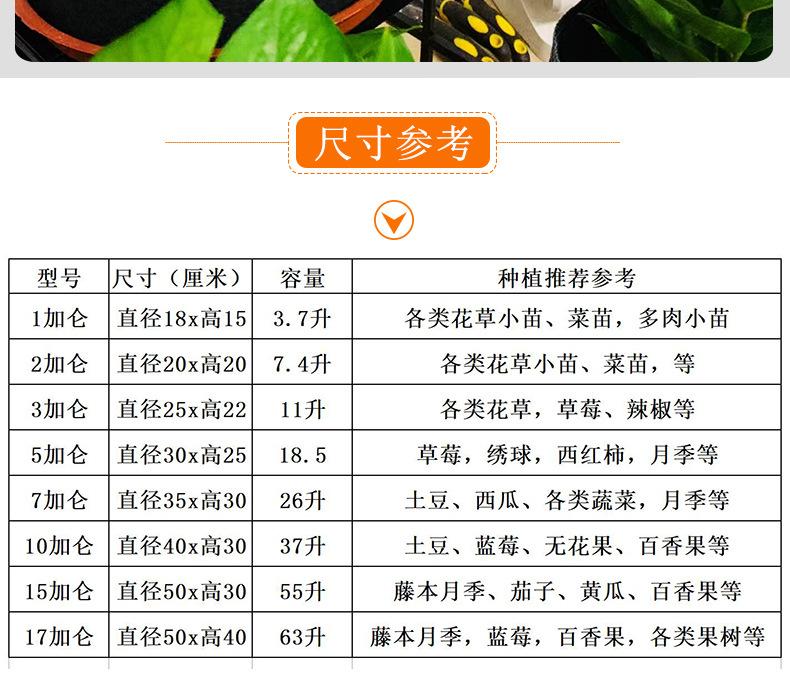 彩色种植袋2_20.jpg