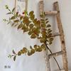 Flores Artificiais para Casamento Atacado Folhas de Eucalipto Falsas Folhas de Dinheiro Plantas Verdes Flores para Decoração de Casa e Casamento Flores Artificiais