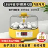 Mini incubadora totalmente automática para niños y educación científica, adecuada para uso doméstico, para pollitos y gallinas de rutina.