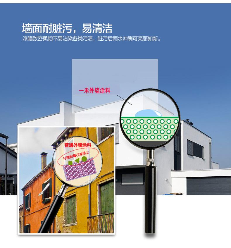 荷叶自洁7