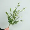 Planta de simulación plástico blando eucalipto hoja de dinero boda decoración del hogar flor de simulación planta verde adornos de bonsái venta al por mayor