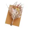 Flores Secas, Flores Preservadas, Ramilletes de Boda para Novia y Dama de Honor, Decoraciones para Cajas de Regalo, Vestidos para Fiestas de Celebración, Mini Ramos, Accesorios