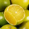 Mandarinas Frescas, Cítricos de Piel Fina, Naranjas al Por Mayor
