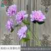 Hibisco Peônia de Galhos Altos com 5 Cabeças, Flor de Macieira Ornamental, Arranjo de Flores de Seda no Local do Evento da Cerimônia, Posicionamento de Flores Artificiais para Adereços de Fotografia