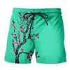 Pantalones de Playa Estampados en 3D Nuevos de Verano, Shorts con Paisaje de Atardecer Vacacional, Hechos en Fábrica al por Mayor Dropshipping DIY