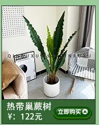 仿真滴水观音