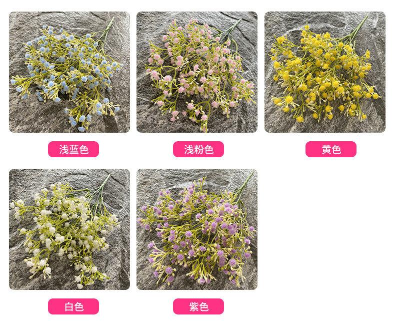 颜色.jpg