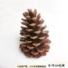 Cono de pino al por mayor flor seca decoración navideña hecho a mano bolsa de material DIY accesorios atrezzo cono de pino navideño natural