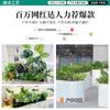 Jardinera de Flores de Planta Verde Simulada, Caja de Flores, Decoración de Paisajismo para Interior y Exterior, Centro Comercial, Cafetería, Decoración Suave, Diseño de Paisaje de Planta Simulada