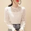 Camisa Base de Renda Shanlida Di para Mulheres, Nova Versão Coreana Primavera e Outono, Popular Online, Elegante Manga Longa Gola Redonda Plus Size Roupa Feminina