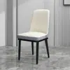 Suministro Directo de Fábrica Silla de Comedor para el Hogar Tocador Creativo Asiento para Uñas de Gel Silla de Hierro para Hotel Silla Simple de Ocio con Respaldo