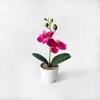 Dos orquídeas Phalaenopsis artificiales, una grande y una pequeña, hechas de plástico de tacto suave, adecuadas para decoración de fotografía de bodas en macetas pequeñas