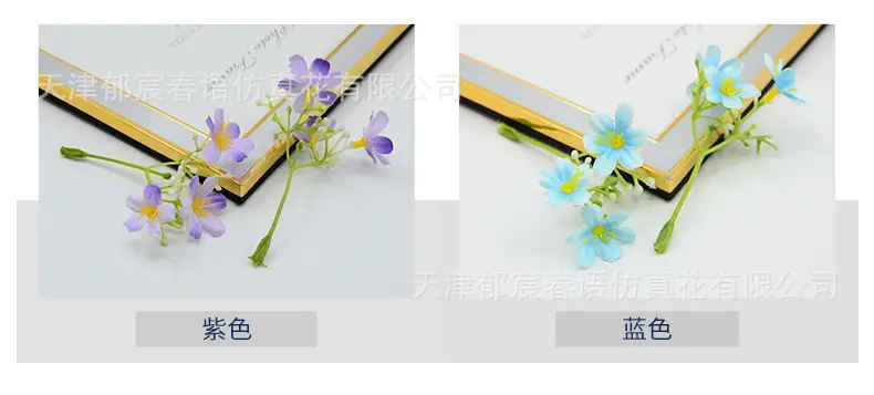 详情_04.jpg