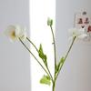 Flor de papoula reunindo flor decoração de casamento decoração de casa flor artificial flor de seda flor falsa atacado