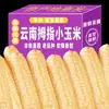 Maíz Mini Fresco Fragante Pegajoso Sin OGM de Xishuangbanna, Yunnan, para Mujeres Embarazadas, Verduras para el Desayuno de Niños