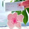 Cartão de Cumprimentos Sementes de Flores Dia dos Pais Festival do Barco-Dragão Bilhete de Loteria Palavras em Papel Papel Semente Germinável Cartão de Sementes Personalização
