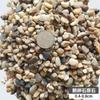 Guijarros de flor de lluvia, piedra original, pecera, paisaje, flor, guijarro en maceta, patio, ganso, piedra suave, color piedra x20