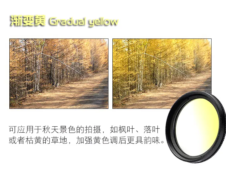 进阶版12in02_05