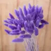Comercio electrónico transfronterizo comercio exterior Amazon color flor seca cola de conejo hierba venta al por mayor diy ramo pequeño jarrón ramo