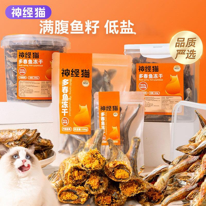 神经猫