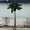 Árbol de Coco Grande Simulado para Decoración Interior y Exterior, Hoteles de Playa, Bodas, Centros Comerciales, Paisajismo con Árboles de Coco Grandes y Árboles de Reverdecimiento