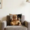 Fundas de Almohada de la Popular Serie de Animales Lindos de Amazon para Decoración de Sofá del Hogar, Fundas de Cojín Cortas de Felpa