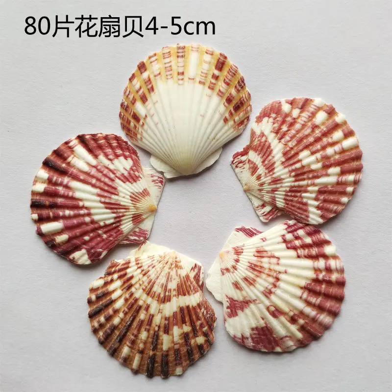 80片花扇贝