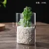 Jarrón de vidrio recto con plantas hidropónicas, maceta creativa de vidrio de borosilicato alto, jarrón artístico con flores, botella con paisaje de musgo