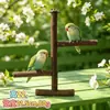 Soporte Natural de Madera para Loro Percha para Pájaros Escalera de Trepar Juguete para Roer para Pájaros para Desgastar el Pico y Afilar las Garras Madera para Descansar