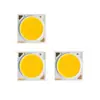 Empaque Original Americano CREE 36v 16-25w Superficie Luminosa 17mm Fuente de Luz cob Corui CXA1816