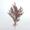 Suministrado Directamente del Fabricante a Amazon para Celebraciones de Bodas Transfronterizas, Grandes Ramilletes de Follaje de Eucalipto para Fondos Decorativos, Arreglos Florales y Decoración del Hogar