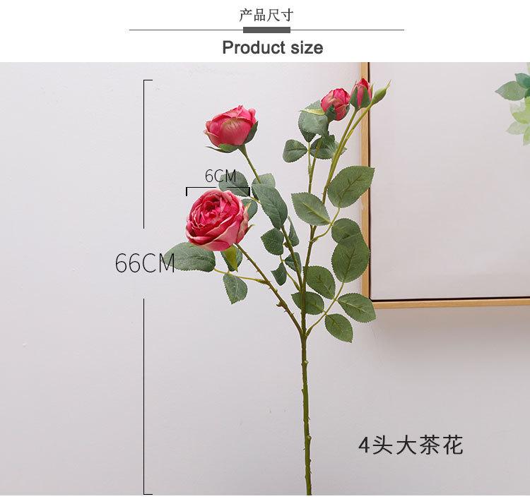 4头大茶花+6头金香玉_02.jpg
