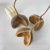 Venta al por mayor del fabricante de Kits de Material Vegetal de Manzana Alada del Mismo Estilo, Populares en Xiaohongshu y Douyin, Kits de Material Vegetal Seco Hechos a Mano