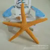 Estrella de Mar de Resina Estilo Mediterráneo 10 cm Estrella de Mar de Cinco Puntas Simulada de Cuatro Colores Recuerdo de Viaje a la Costa Decoración para Acuario