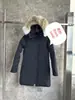 Jaqueta de Penas de Ganso Grande She Lburnepark3802 Jaqueta de Penas de Ganso Grande 15 Parka Inverno