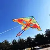 Nuevo cometa de fénix 2025 1.6 metros brisa fácil de volar niños adulto cola larga tiembla con venta al por mayor de fabricantes