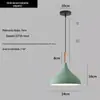 Lustre de Cabeça Única Moderno Criativo para Restaurante Estilo Industrial Lojas de Hot Pot Self-Service Lâmpadas Coloridas Comerciais para Salão de Cabeleireiro