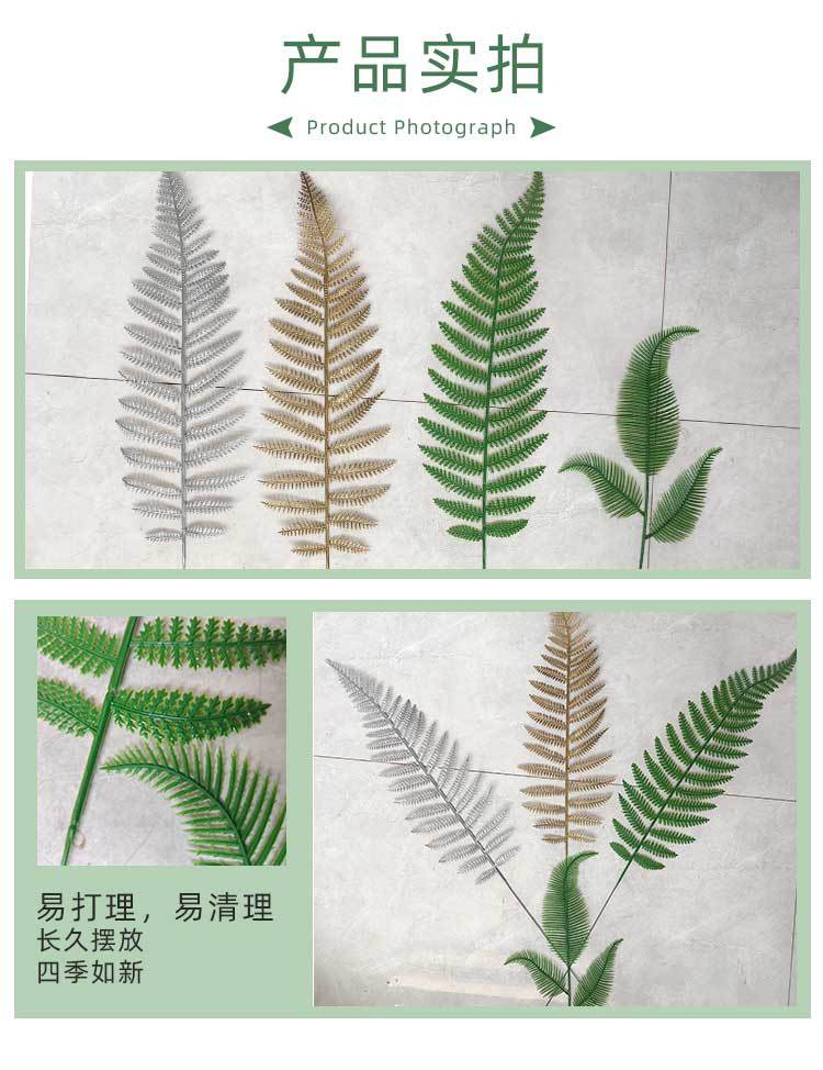 松枝叶详情页_03.jpg