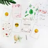 Ins Estilo Japonês e Coreano Plantas de Cartão Frescas Props Fotográficos Literários Fundo para Fotos Combinando Atacado