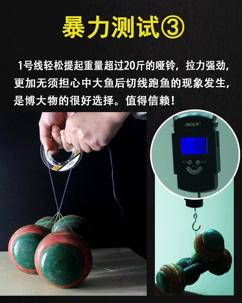 动图3