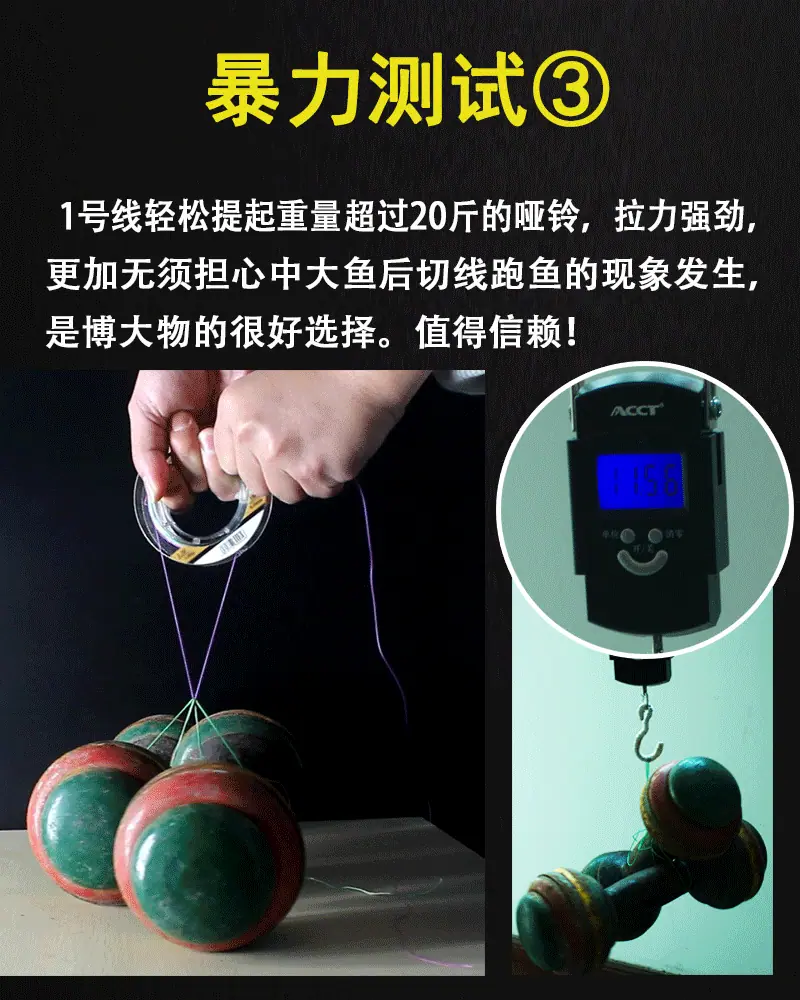 动图3