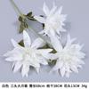 Flor Artificial Crisantemo de Garra Grande Flor de Seda Flor Guía Floral de Boda Material Floral de Boda Decoración de Boda Flor Seca Material de Flor Artificial