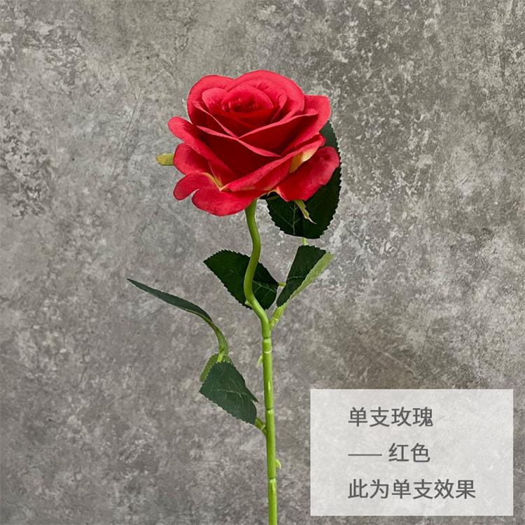 单支玫瑰-红色.jpg