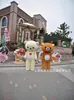 Urso de Pelúcia Fácil de Abraçar, Novo Urso de Pelúcia de Presente, Brinquedo de Boneca Macia de Presente, Fantasia Macia de Pelúcia