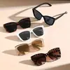 Gafas de sol de estilo popular europeo y americano transfronterizas, montura grande ojo de gato, patillas huecas de moda, montura cuadrada grande