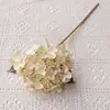 Hortensia de un solo tallo en colores otoñales retro con fruto, flor artificial HD, adecuada para decoración del hogar, bodas y estudios.