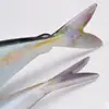 Señuelo Blando para Pesca Transfronteriza Impreso en 3D 15cm 34g Sin Plomo Simulación de Pesca Invertida Señuelo para Peces de Mar para Pesca