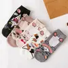 Calcetines Nuevos de Caricatura de Capibara para Mujer, Calcetines de Algodón, Calcetines Lindos de Caricatura Anime para Mujer, Calcetines de Boca Baja, Fabricantes Transfronterizos