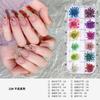 Manicura Aurora Lazo Joyería Rojo Internet Mixto Perla Semirredonda Súper Flash Diamante Fondo Plano Concha Diamante