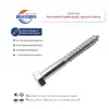 Parafuso para Madeira, Parafuso para Madeira Galvanizado, Parafuso Autoatarraxante Hexagonal Externo Galvanizado, Parafuso Autoatarraxante com Cabeça Hexagonal Externa e Ponta